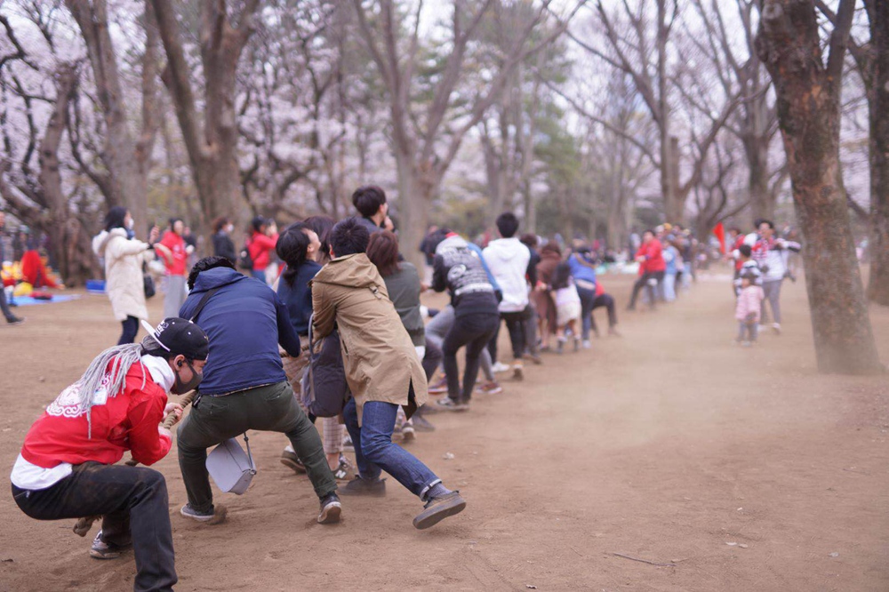 中日友好百人赏樱大会
